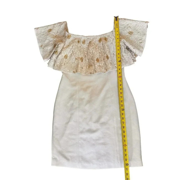 Slate & Willow Golden Iris Dress Lace Ruffle Off Shoulder Sheath Party 12 RTR - Picture 5 of 9